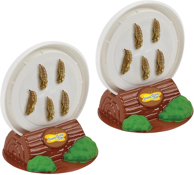 Insect Lore Butterfly Garden with Two Cups of Live Caterpillars | Original Habitat, STEM Journal, Chrysalis Holding Logs, 10 Live Baby Caterpillars | Painted Lady Butterflies | Life Science Education