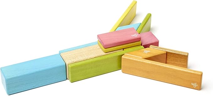 Tegu 14 Piece Magnetic Wooden Block Set in Tints