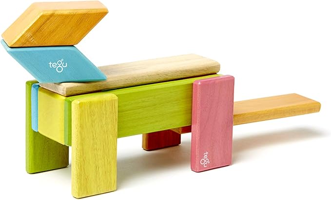 Tegu 14 Piece Magnetic Wooden Block Set in Tints