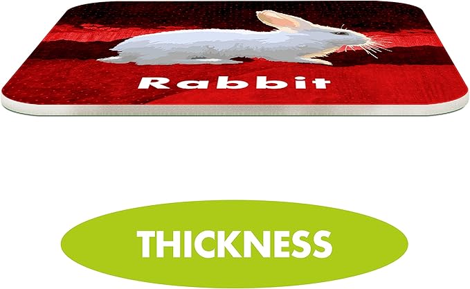 Hebayy 36 Pair Animal Matching Game Flash Cards Erasable (Each Measures 2” X 2”)