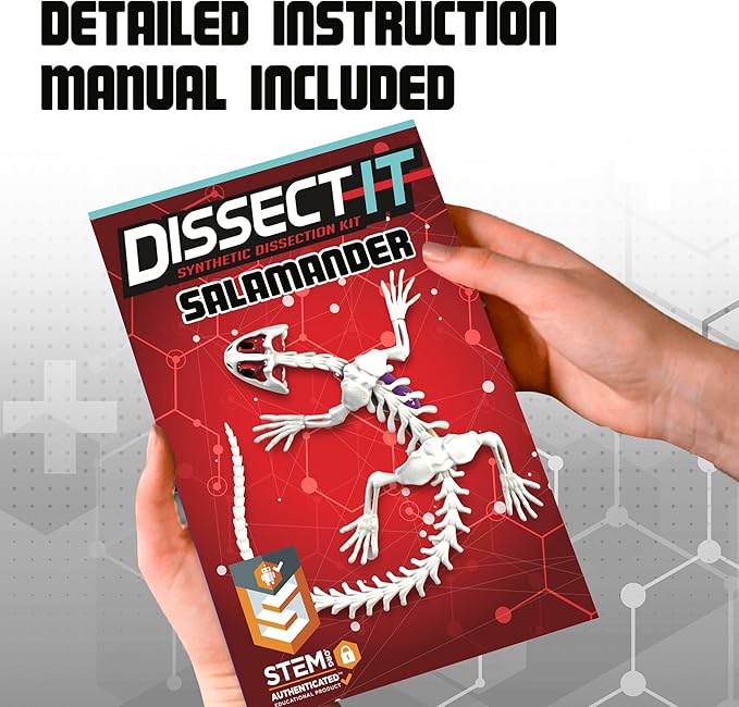 Dissect-It Kit for Kids 6 Plus, Simulated Synthetic Lab Dissection Toy | Salamander | Authenticated STEM Toys | Kids Learn Animal Science, Biology, and Anatomy