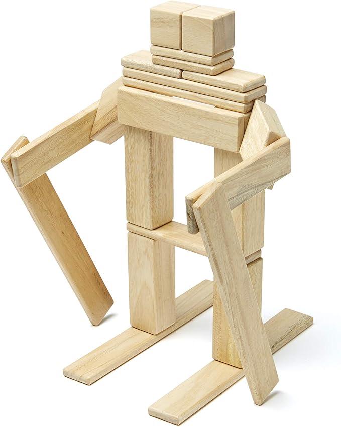 24 Piece Tegu Magnetic Wooden Block Set, Natural, 1-99 years old