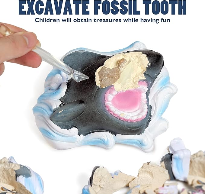 Shark Tooth Dig Kit, Shark Tooth Excavation Fossil, Shark Science Toy Gift for Kids Age 5+ for Holiday Birthday