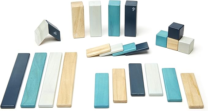 24 Piece Tegu Magnetic Wooden Block Set, Blues, 1-99 years old