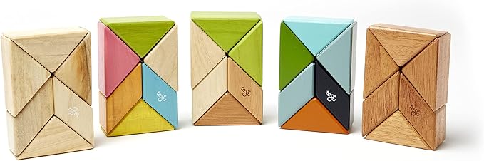 6 Piece Tegu Pocket Pouch Prism Magnetic Wooden Block Set, Jungle
