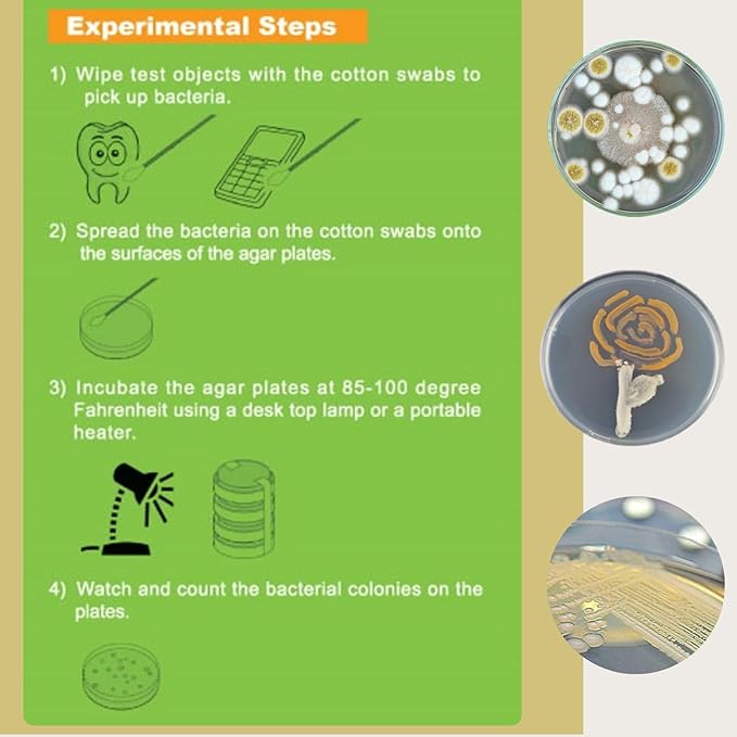 Bacteria Science Kit (IV): Top Science Fair Project Kit. Prepoured LB-Agar Plates And Cotton Swabs. Exclusive Free Science Fair Project E-Book Packed With Award Winning Experiments (IV)