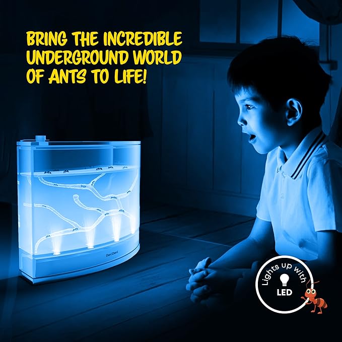 Light-up Ant Farm Terrarium Kit for Kids – LED Habitat for Live Ants with Nutrient Rich Gel - Watch Them Dig Their Own Tunnels - Nature Learning, Science Toys, Experiment Gift for Boys & Girls