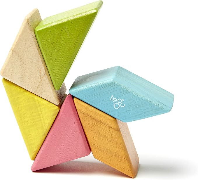 6 Piece Tegu Pocket Pouch Prism Magnetic Wooden Block Set, Tints