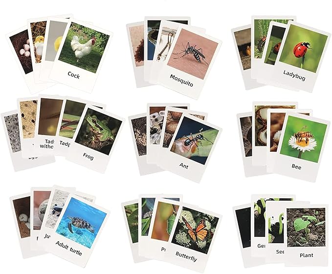 Montessori Animal Match Game Cards Marine Animal Matching Montessori Language Materials Toddlers Preschool Educational Learning Toys Language Materials Shape Sorting Toy