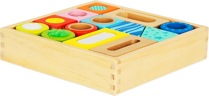 Brilliant Baby® Sensory Fun Blocks | Montessori Toy | Toddler Learning | Educational Wooden Baby Toy with Sensory Touch and Feel for Early Childhood Development | Interactive Toy for Toddler and Baby