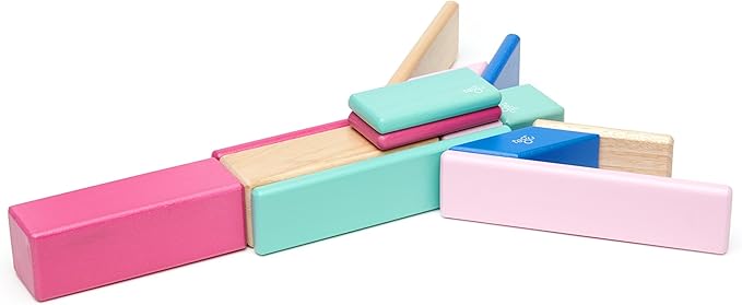 14 Piece Tegu Magnetic Wooden Block Set, Blossom