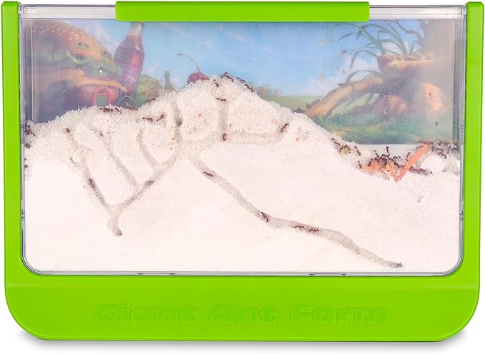 Uncle Milton Giant Ant Farm - Large Viewing Area - Care for Live Ants - Nature Learning Toy - Science DIY Toy Kit - Great Gift for Boys & Girls, Green