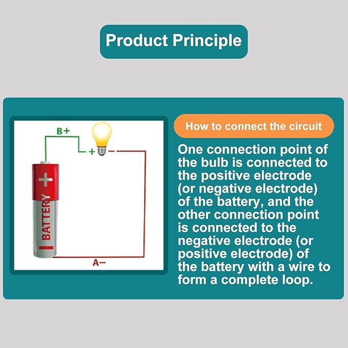 Electrical Circuit Experiment Kit, Small Bulb Lights Up Kit Basic Physic Science Playset Educational Kit A OneSize Science Kits and Toys Flash Cards Learning and Education