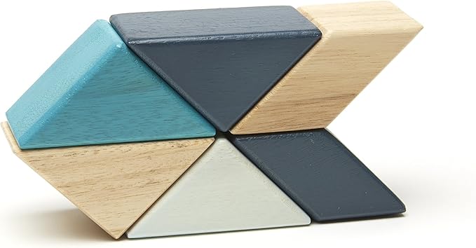 6 Piece Tegu Pocket Pouch Prism Magnetic Wooden Block Set, Blues