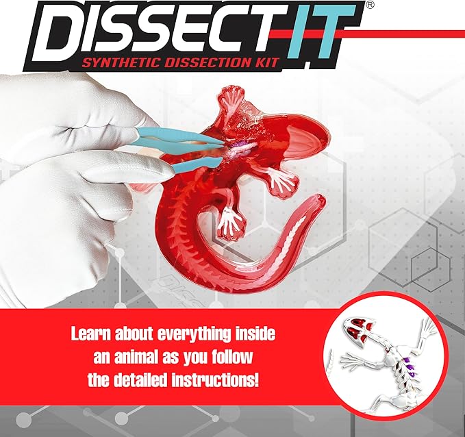 Dissect-It Kit for Kids 6 Plus, Simulated Synthetic Lab Dissection Toy | Salamander | Authenticated STEM Toys | Kids Learn Animal Science, Biology, and Anatomy