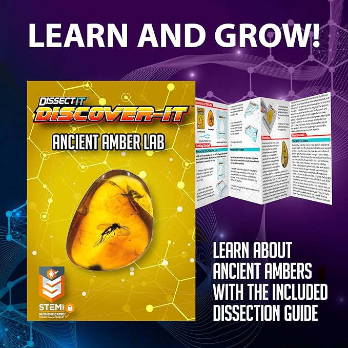 Top Secret Toys Discover-It Dissection Kit for Kids, Synthetic Amber Science Lab Kit to Learn About Insects, Science Toys for Kids Ages 5 and Above