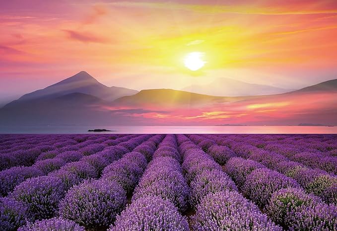 1000 Piece Puzzles for Adults Lavender Jigsaw Puzzles 1000 Pieces Fun Games