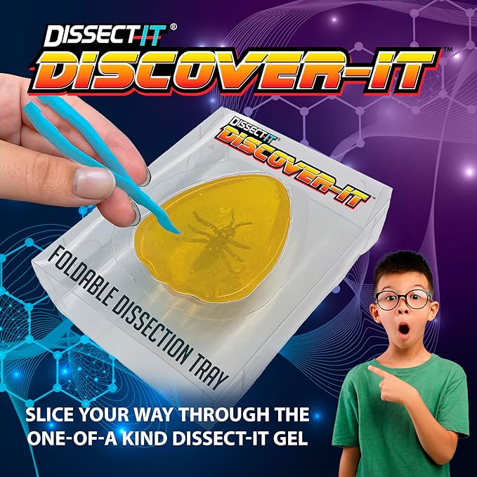Top Secret Toys Discover-It Dissection Kit for Kids, Synthetic Amber Science Lab Kit to Learn About Insects, Science Toys for Kids Ages 5 and Above