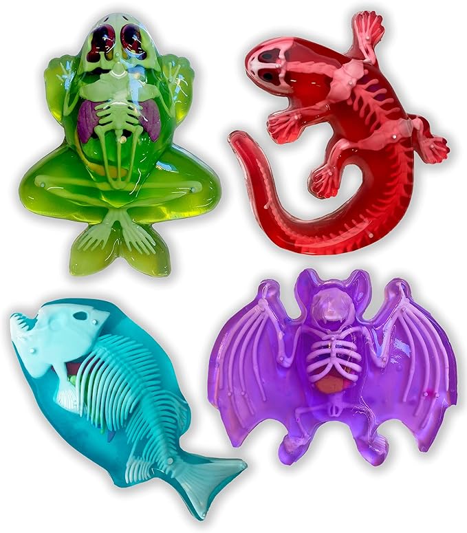 Dissect-It Kit for Kids, Synthetic Dissection Kids Science Kit to Learn Animal Science, Biology, STEM Toys for 6 Year Old and Above