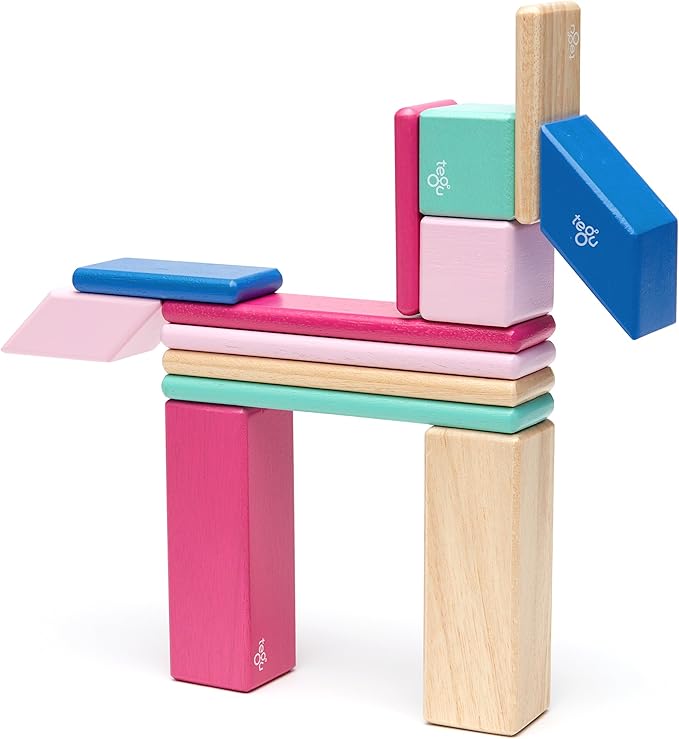 14 Piece Tegu Magnetic Wooden Block Set, Blossom
