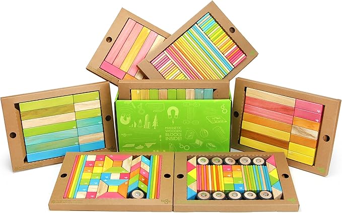 240 Piece Tegu Classroom Magnetic Wooden Block Set, Tints