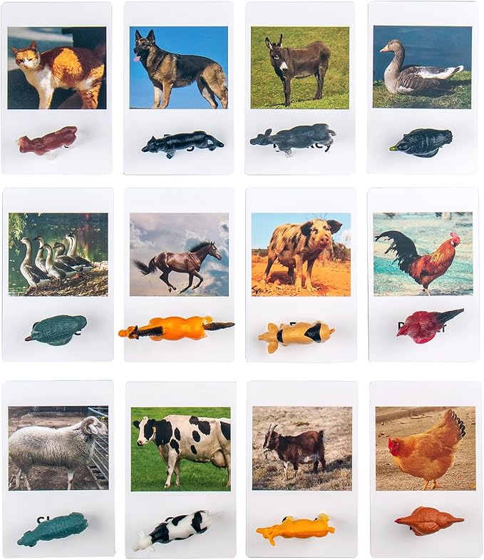 MEROCO Montessori Animal Match Cards - Miniature Poultry Animals with Matching Cards - 2 Part Cards. Montessori Learning Toy, Language Materials TZX106