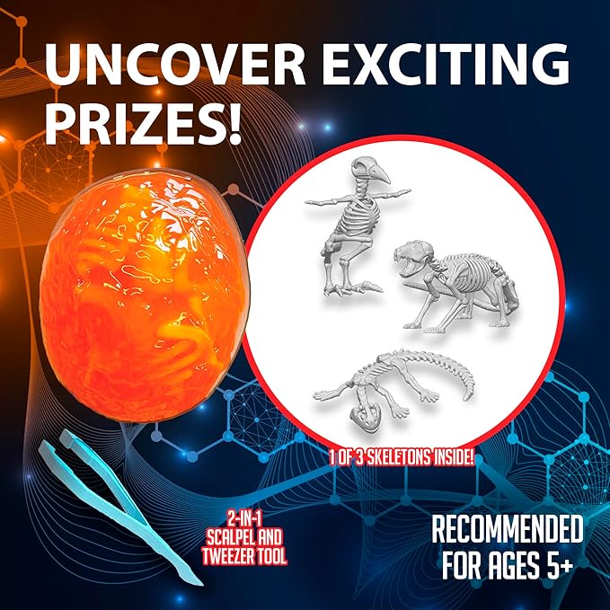 Top Secret Toys Discover-It Dissection Kit for Kids, Owl Pellet Science Lab Kit to Learn About Animals, Science Toys for Kids Ages 5 and Above
