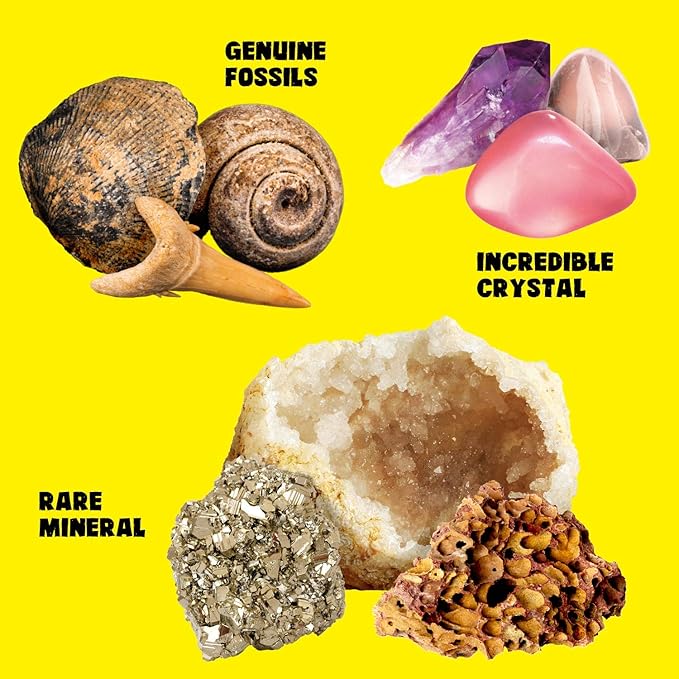 Rocks Minerals & Fossils Collection for Kids 250+ Real Gemstones and Crystals Rock Identification Kit includes Display Case, Genuine Fossils, Geodes Great Geology, Science Gift for Boys & Girls