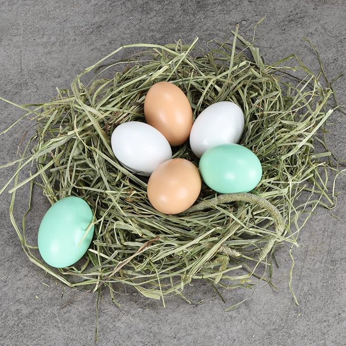 WHOHOLL Colorful Wooden Eggs, 6 Pcs Play Food Eggs with Holder, Durable Fake Food Decor for Pretend Play, Toy Eggs for Crafts DIY Christmas Decoration Basket Stuffers