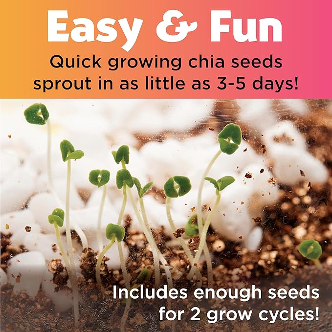 Creativity for Kids Plant and Grow Unicorn Forest: Terrarium Kit for Kids, Unicorn Toys and STEM Kits for Kids, Arts and Crafts for Girls Ages 6-8+