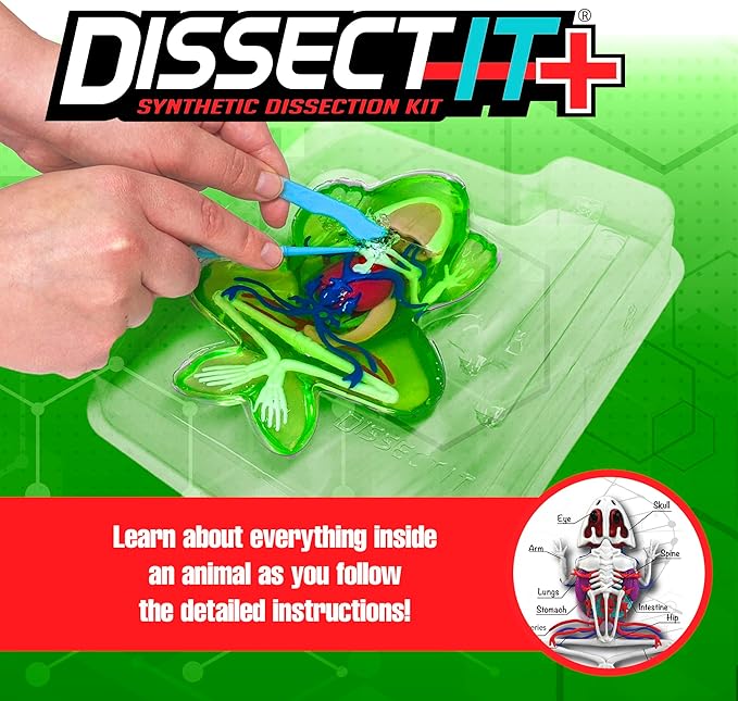 Dissect-It Kit for Kids Plus Upgraded Frog Dissection Toy Kit, Realistic Lab Experience, No Use of Real Frog! No Odor, STEM Toys, Animal Science & Anatomy Home Learning for Kids, Boys, Girls