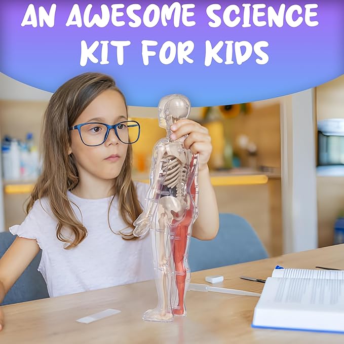 Gaelen Human Body Model for Kids: Glow in The Dark Bones Interactive Science Kit-32 Piece Anatomy Toy kit for STEM Education