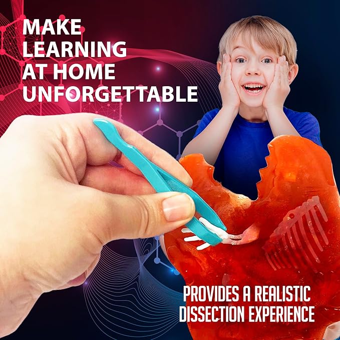 Top Secret Toys Dissect-It Discover-It Dinosaur Dig Kit, Dissecting Gel Kids Science Kit Project to Learn Anatomy, STEM Toys for Boys & Girls Ages 6+