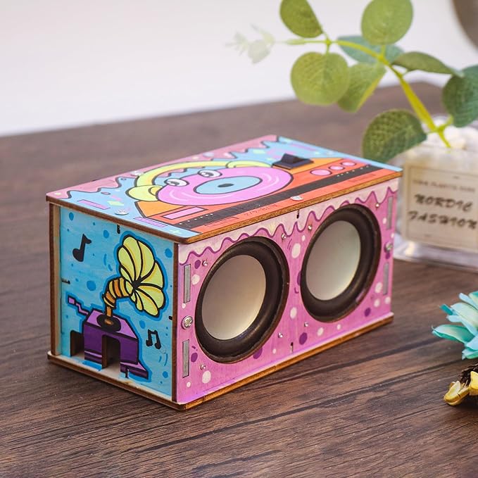 DIY STEM Projects Educational Exploration Speaker Box Kit Build Personalized Wood Case Speaker Set Science Electronics Experiment Kit Learning STEM Gifts for Teens and Adults