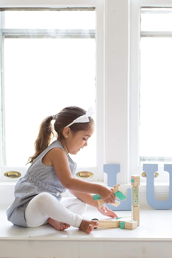 Tegu Magbot Magnetic Wooden Block Set, 1-99 years old, 9 piece