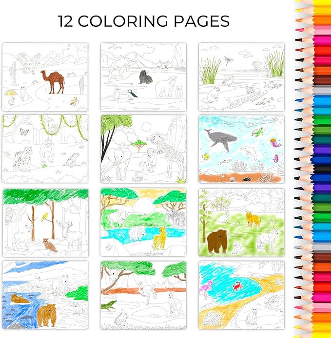 Fun Sticker Book for Toddlers 2-4 Years - Perfect Kids Activity Book with Beautiful Stickers & 12 Reusable Themes for Entertaining Girls & Boys 4-8 While Traveling - Incl. Animal & Coloring Pages