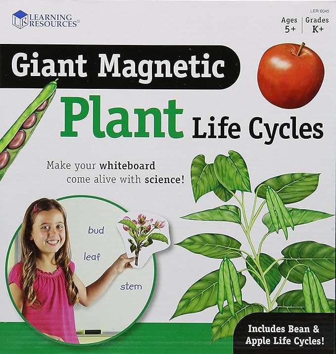 Learning Resources Giant Magnetic Plant Life Cycle - 12 Pieces, Science Exploration Activities for Kids, Homeschool and Classroom Science Supplies