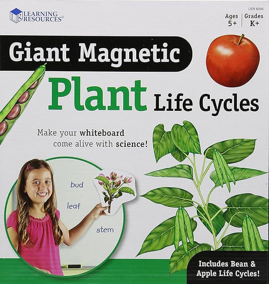 Learning Resources Giant Magnetic Plant Life Cycle - 12 Pieces, Science Exploration Activities for Kids, Homeschool and Classroom Science Supplies