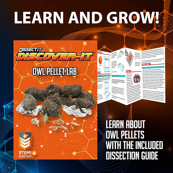 Top Secret Toys Discover-It Dissection Kit for Kids, Owl Pellet Science Lab Kit to Learn About Animals, Science Toys for Kids Ages 5 and Above