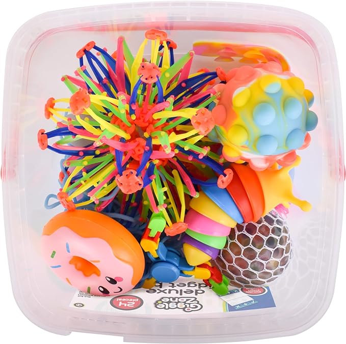 Sunny Days Entertainment 24 Piece Fidget Box, Sensory Toys with Storage Container, Party Favor, Treasure Box, Carnival, Pinata Stuffers, Adult Stress Relief, ADHD Toy