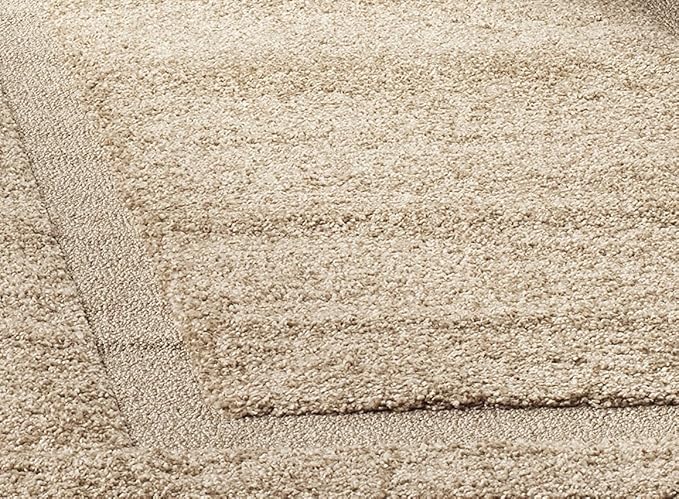 SAFAVIEH Florida Shag Collection Accent Rug - 3'3" x 5'3", Beige & Beige, Non-Shedding & Easy Care, 1.2-inch Thick Ideal for High Traffic Areas in Foyer, Living Room, Bedroom (SG454-1313)