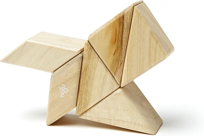 6 Piece Tegu Pocket Pouch Prism Magnetic Wooden Block Set, Natural