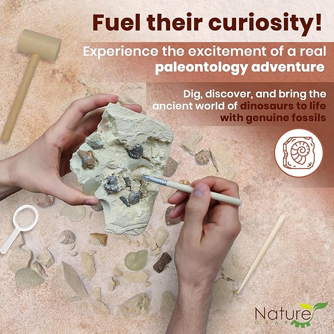 Nature Gear Dino Fossil Dig Kit for Kids, Educational Excavation Kit with 15 Glow in The Dark Mystery Fossils, Interactive Dinosaur Science Kits for Kids Age 3-5 and Up, Excavation Adventure Kit