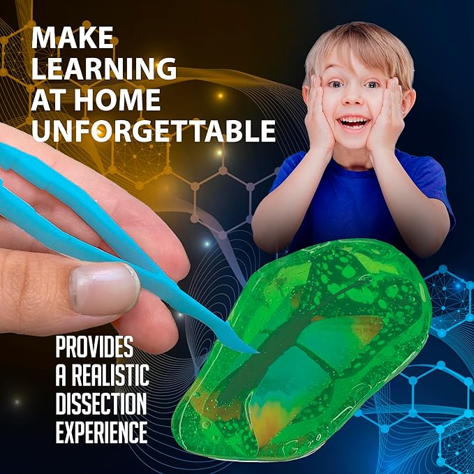 Top Secret Toys Discover-It Dissection Kit for Kids, Synthetic Butterfly Metamorphosis Science Lab Kit, STEM Science Toys for Kids Ages 5 and Above