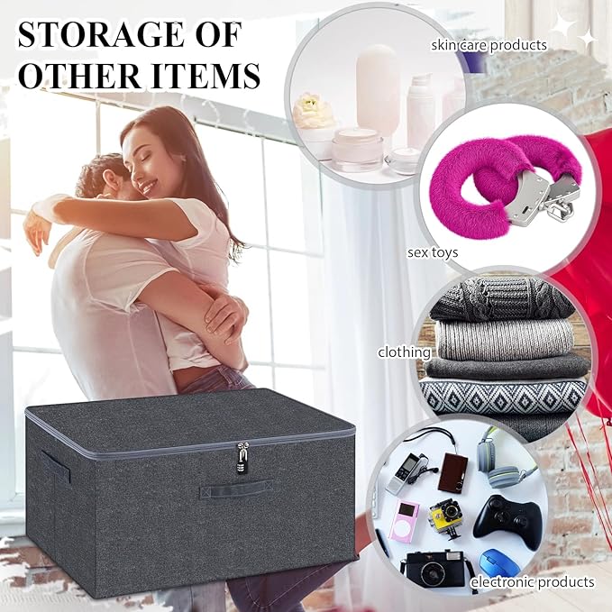 Briwooody Discreet Lockable Toy Bag Storage Organizer Toy Bag Storage Bins Case with Zipper Lid for Women and Men Clothes Container (Gray,23.6 x 15.8 x 11.8 Inch)