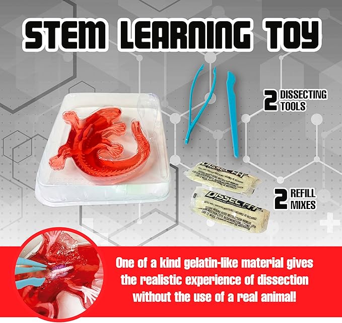 Dissect-It Kit for Kids 6 Plus, Simulated Synthetic Lab Dissection Toy | Salamander | Authenticated STEM Toys | Kids Learn Animal Science, Biology, and Anatomy