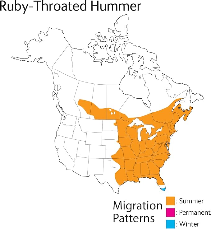 Wild Republic Audubon Birds Ruby-Throated Hummingbird with Authentic Bird Sound, Stuffed Animal, Bird Toys for Kids & Birders