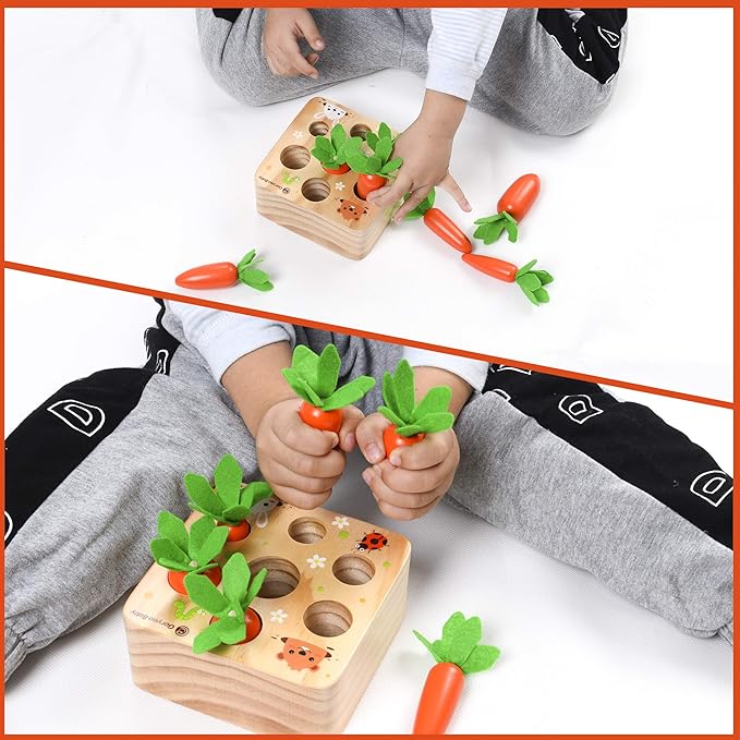 Carrot Harvest - Wooden Educational Toys for Boys and Girls - Preschool Learning Gift - Toddlers Wood Game – Shape Sorting Toy - Worm Toy Playset - for Age 1 2 3 Year Old