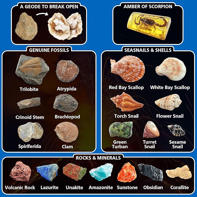 Volcano & Ocean Fossil Dig Kit, Dig up 20+ Real Fossils, Rocks, Shells & Sea Snails with Eruption Experiments, Earth Science Geology Kit for Kids, STEM Toy Gift for Boys & Girls Age 6-8-12