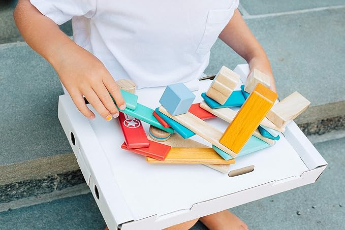 6 Piece Tegu Travel Pal Magnetic Wooden Block Set, Kitty